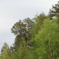 0140.jpg 0140.jpg
